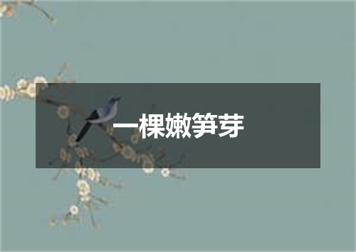 一棵嫩笋芽