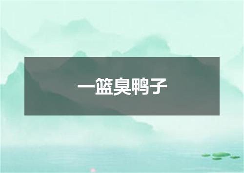 一篮臭鸭子