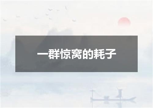 一群惊窝的耗子
