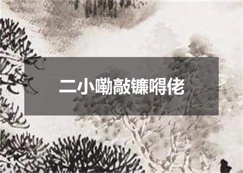 二小嘞敲镰嘚佬
