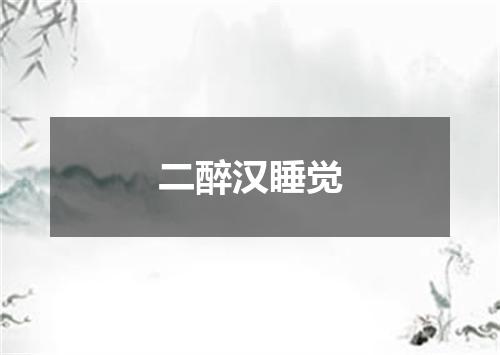 二醉汉睡觉