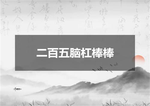 二百五脑杠棒棒