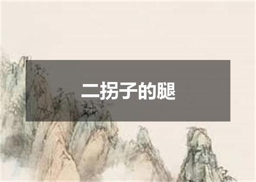 二拐子的腿