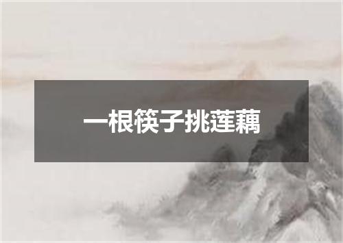 一根筷子挑莲藕