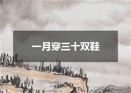 一月穿三十双鞋