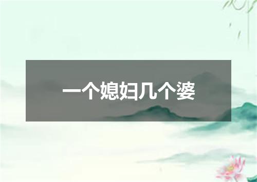 一个媳妇几个婆