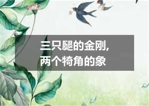 三只腿的金刚,两个犄角的象
