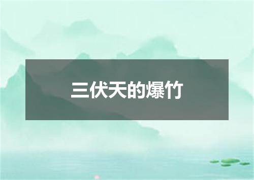 三伏天的爆竹