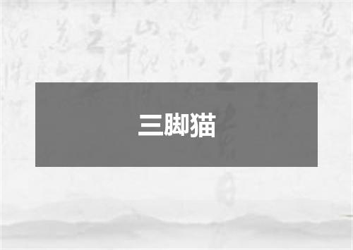 三脚猫