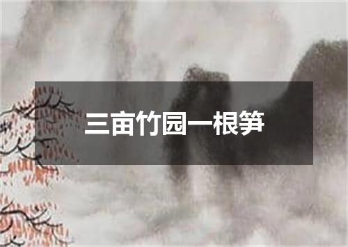 三亩竹园一根笋