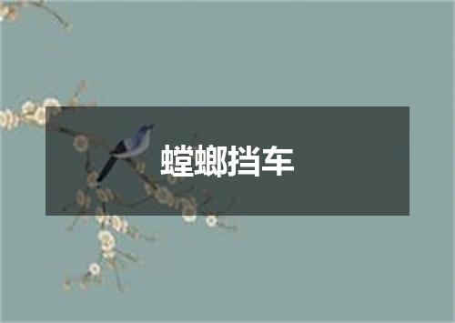 螳螂挡车