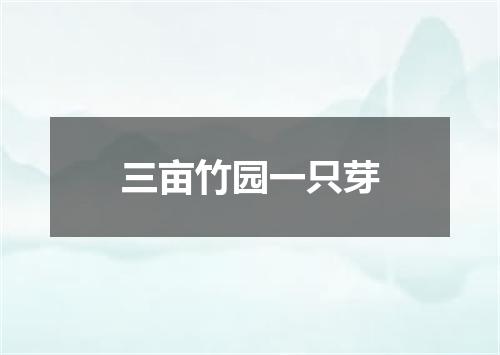 三亩竹园一只芽
