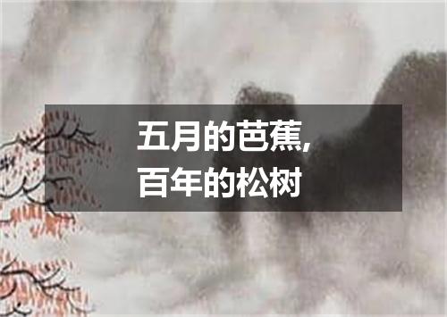 五月的芭蕉,百年的松树