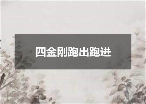 四金刚跑出跑进