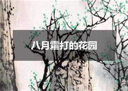 八月霜打的花园