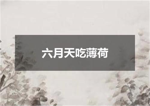 六月天吃薄荷