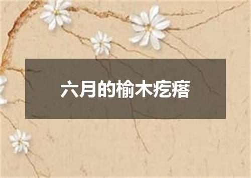 六月的榆木疙瘩