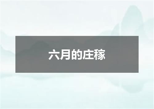 六月的庄稼