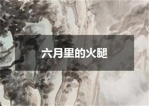 六月里的火腿