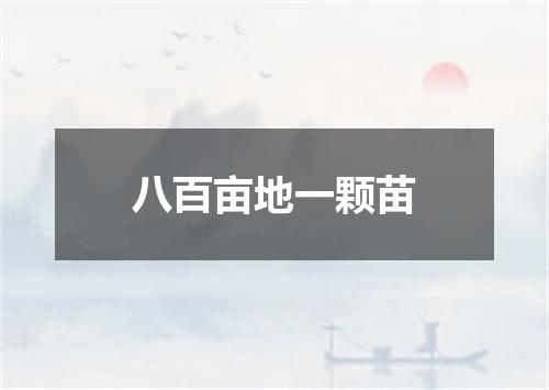 八百亩地一颗苗