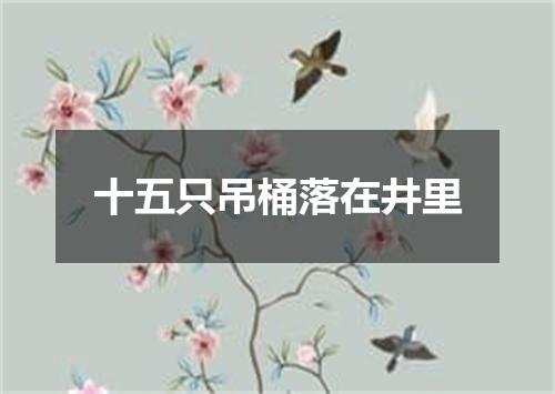十五只吊桶落在井里