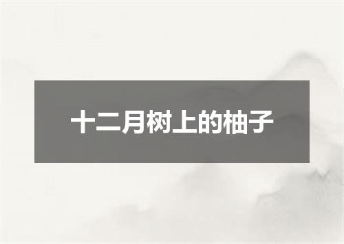 十二月树上的柚子