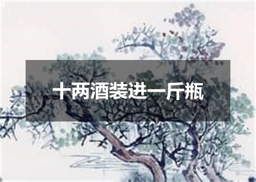 十两酒装进一斤瓶