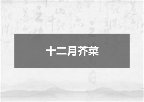十二月芥菜