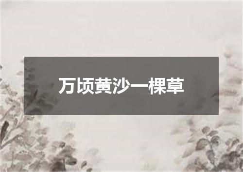 万顷黄沙一棵草