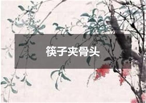 筷子夹骨头
