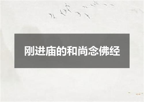 刚进庙的和尚念佛经