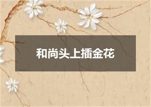 和尚头上插金花