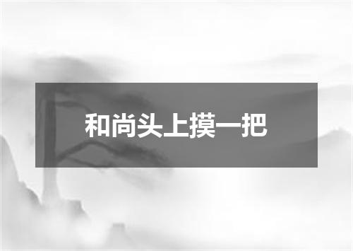 和尚头上摸一把