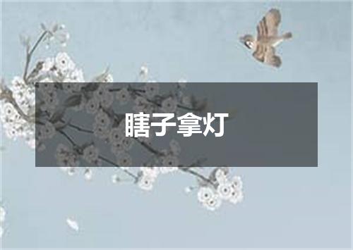 瞎子拿灯