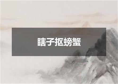 瞎子抠螃蟹