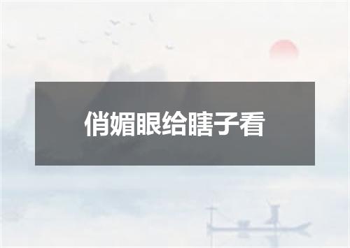 俏媚眼给瞎子看