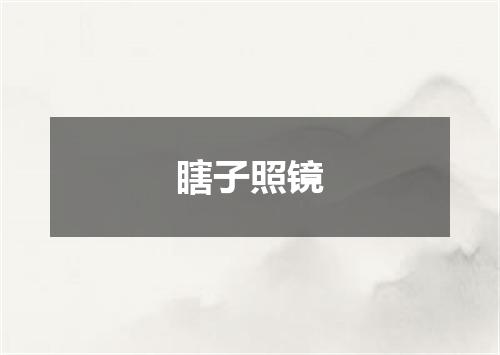 瞎子照镜