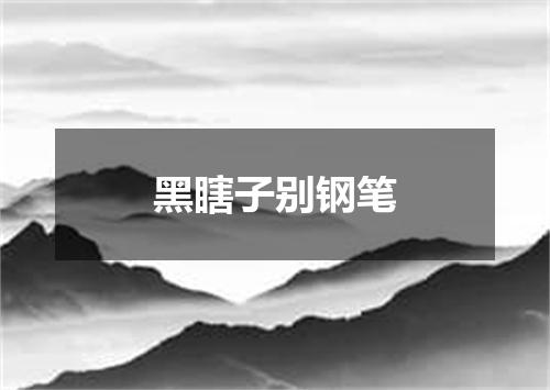 黑瞎子别钢笔