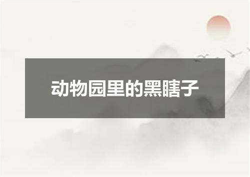 动物园里的黑瞎子