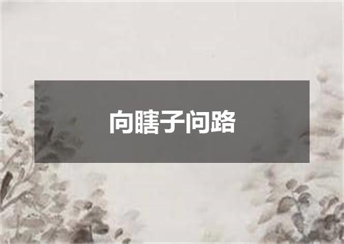 向瞎子问路
