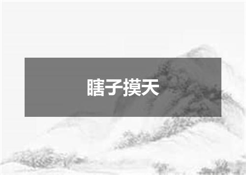 瞎子摸天