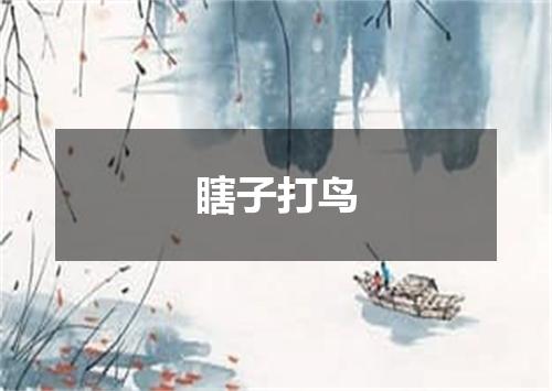 瞎子打鸟