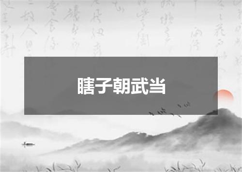 瞎子朝武当