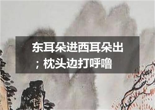 东耳朵进西耳朵出；枕头边打呼噜