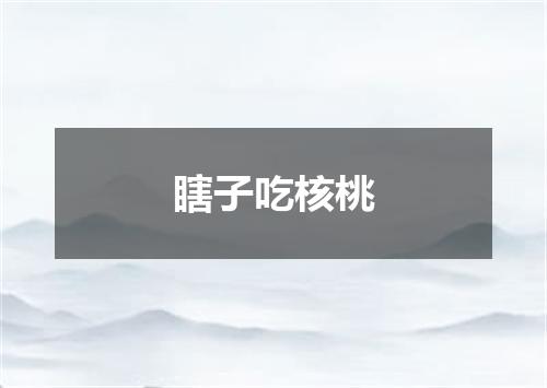瞎子吃核桃