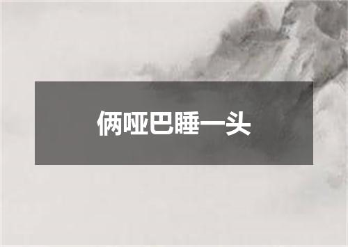 俩哑巴睡一头