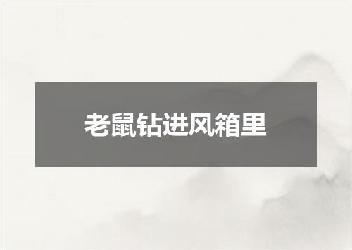 老鼠钻进风箱里