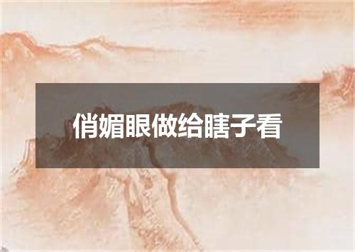 俏媚眼做给瞎子看