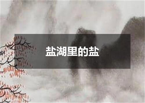 盐湖里的盐