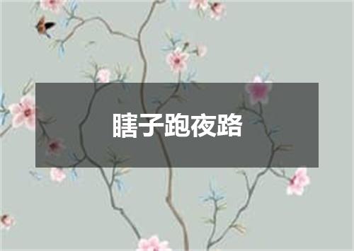 瞎子跑夜路